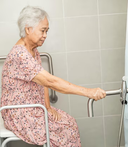 Disability Employment Services (DES)